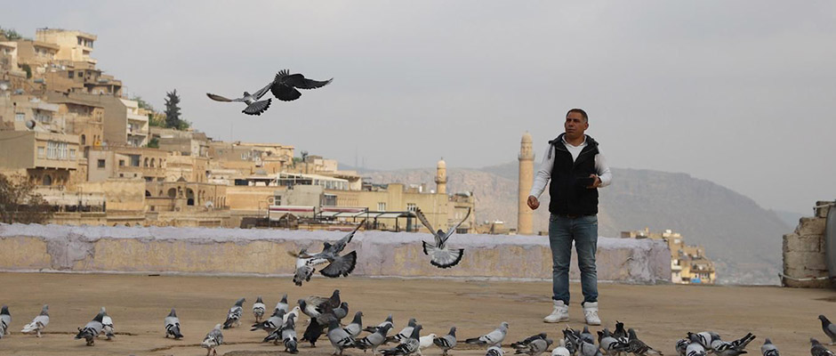 Mardin’in Semalarında Kanat Çırpan Hazine: Güvercin