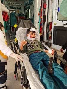 Nusaybin’de köpeklerin saldırısına uğrayan çocuk ağır yaralandı
