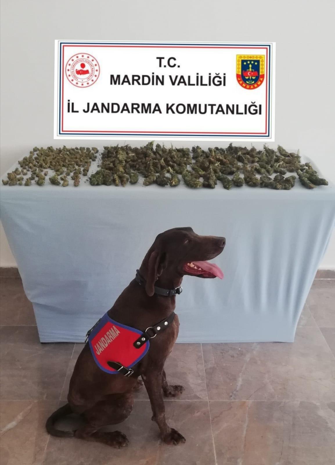Mardin İl Jandarma Komutanlığı