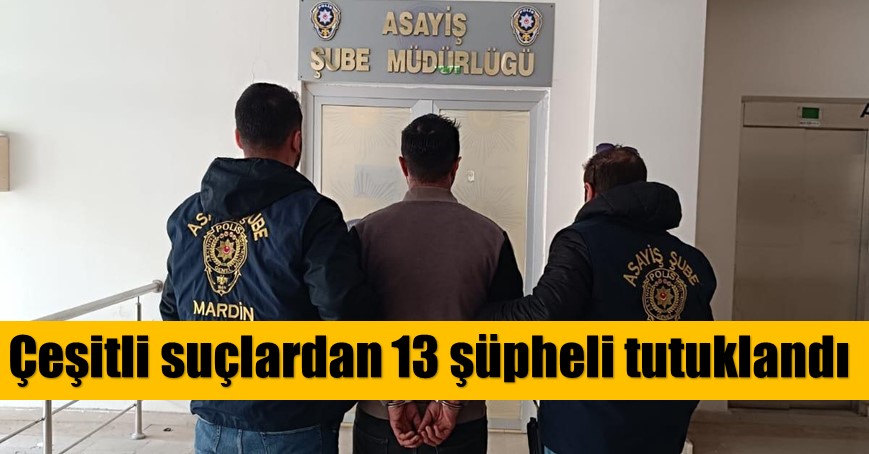 Mardin’de polisin çeşitli suçlardan